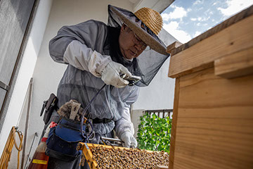 日本近代養蜂の父 青柳浩次郎